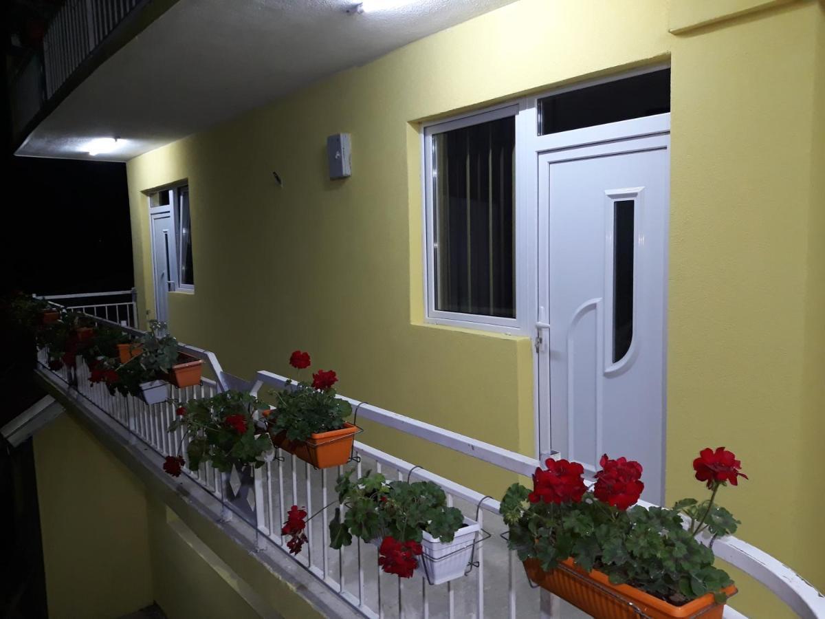 Apartmani Plavi Ягодина Экстерьер фото